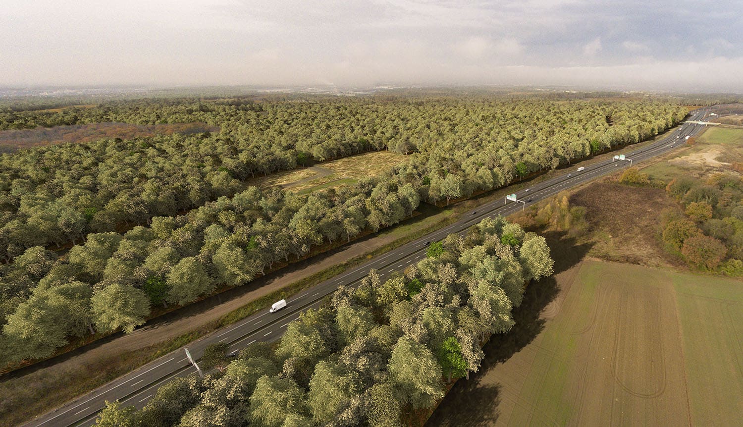 Projet forestier