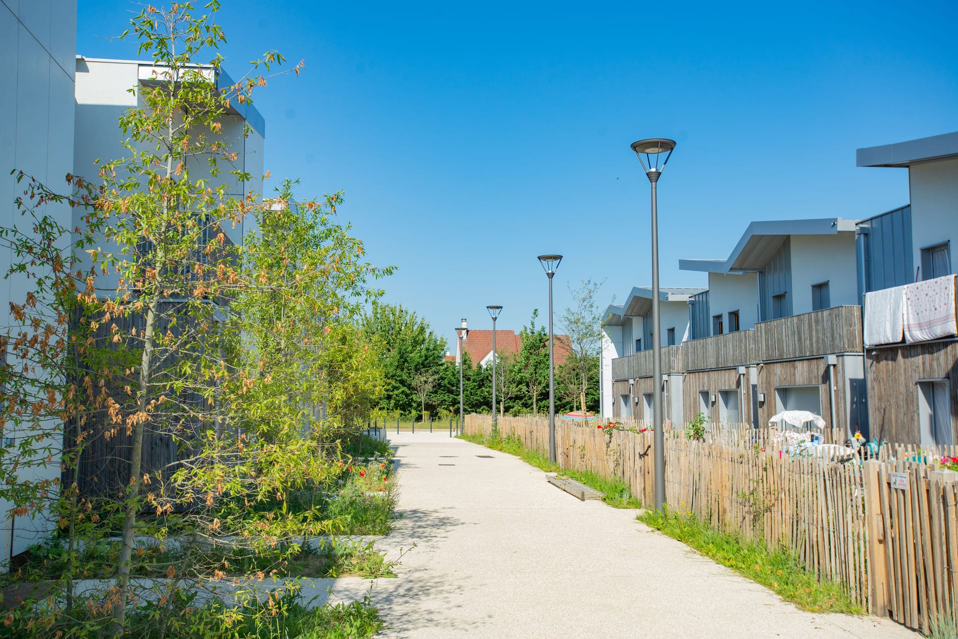 Ecoquartier du Sycomore (lot SY4)