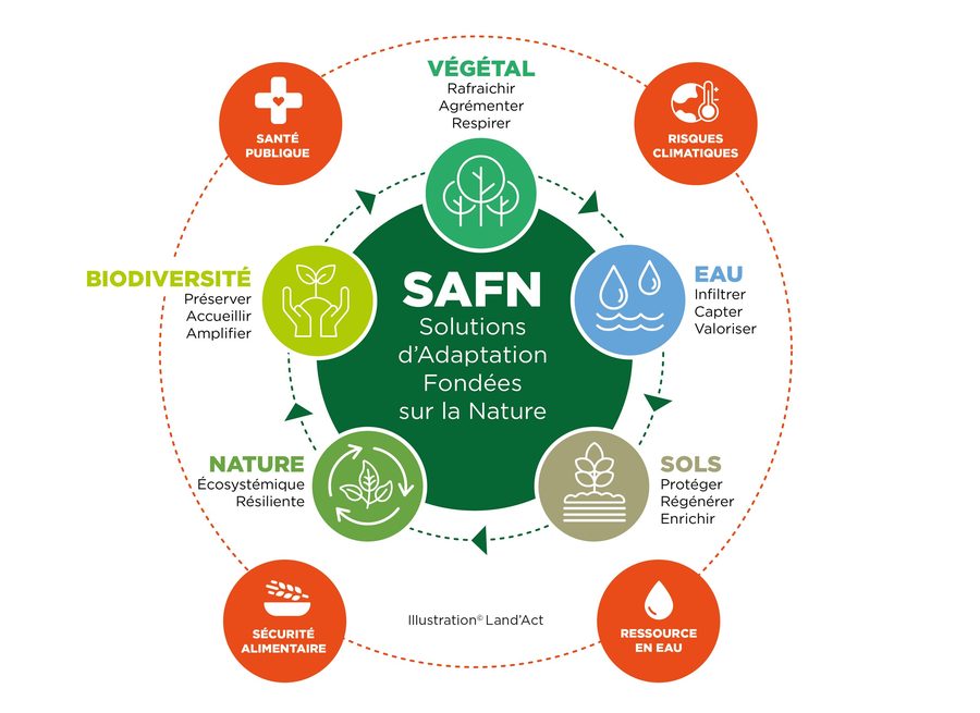 SAFN — Solutions d'Adaptation Fondées sur la Nature